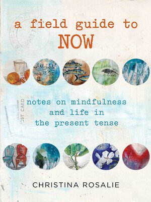 cover image of Field Guide to Now